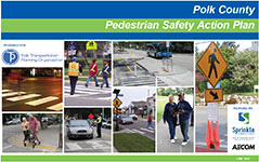 Pedestrian Safety Action Plan