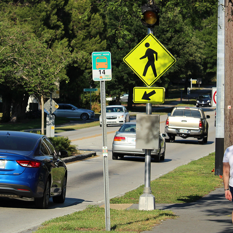 pedestrians crossing traffic