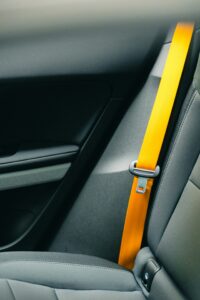 buckle up Florida